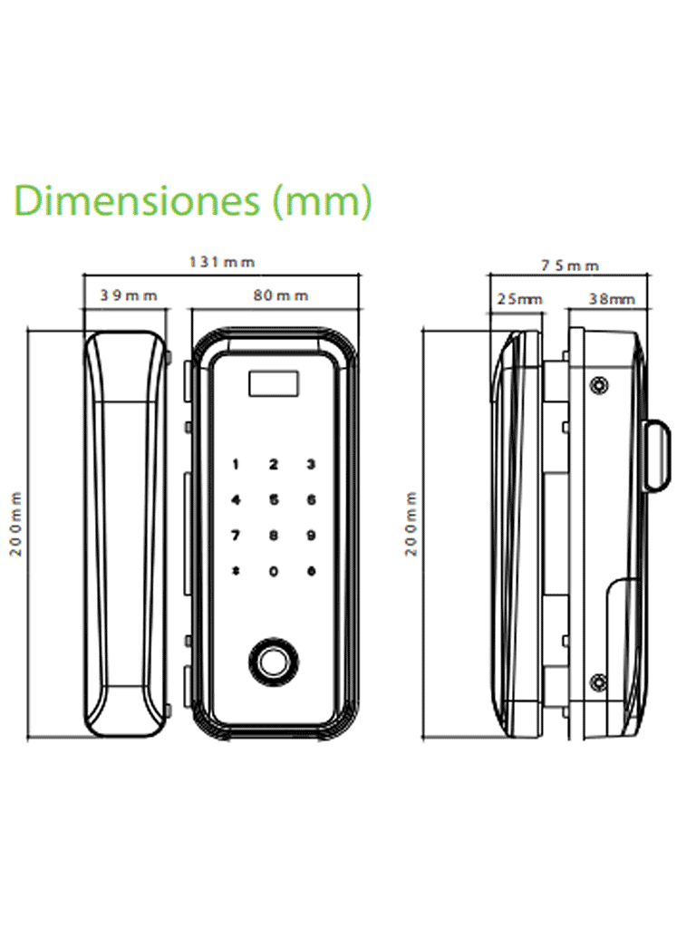 ZK GL300 - Cerradura Biométrica para Puertas de Vidrio, Compatible con Anchos de Puerta de 10 a 12 mm, Capacidad para 100 Usuarios, Control Remoto Incluido, Compatible con Tarjetas Mifare 13.56 MHz