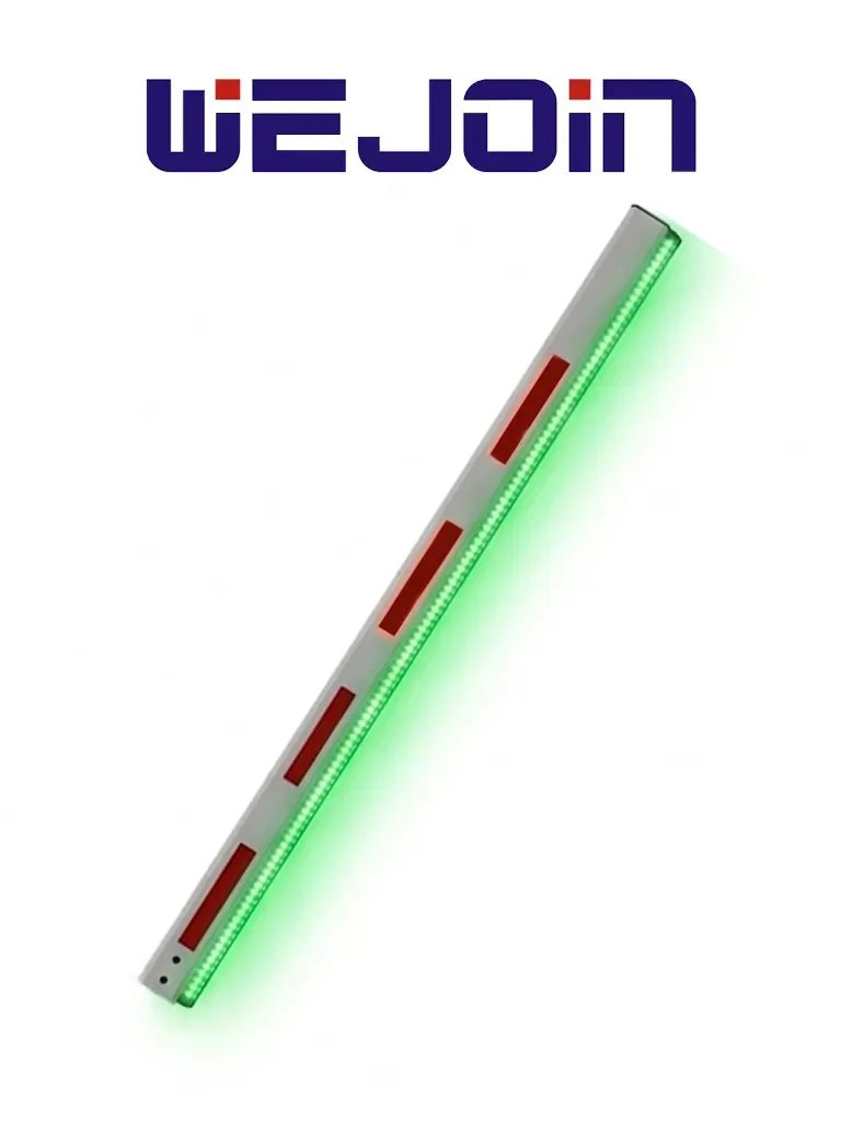 WEJOIN WJLBM6 - Brazo Recto Octagonal de 6 Metros con Led