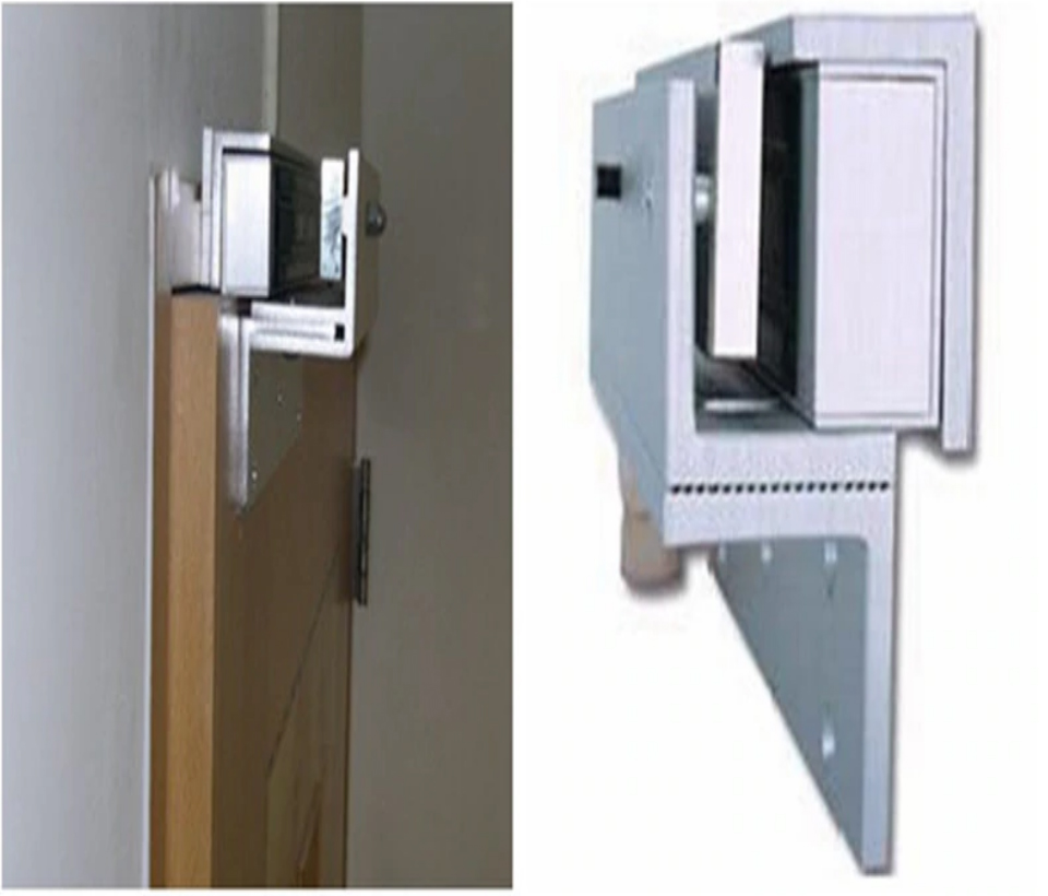 ZKTECO LM200LEDPAK - Paquete de contrachapa magnética con indicador LED de 200 kg, cuenta con entradas para conexión de sensor de puerta , voltaje de 12VDC incluye soporte LM200ZL en ZL para instalación