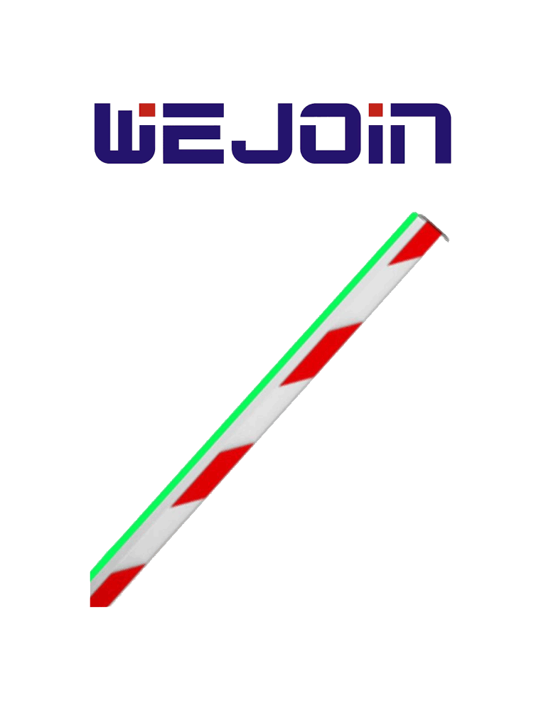 WEJOIN WJLBM6 - Brazo Recto Octagonal de 6 Metros con Led